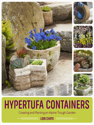 cover image of Hypertufa Containers